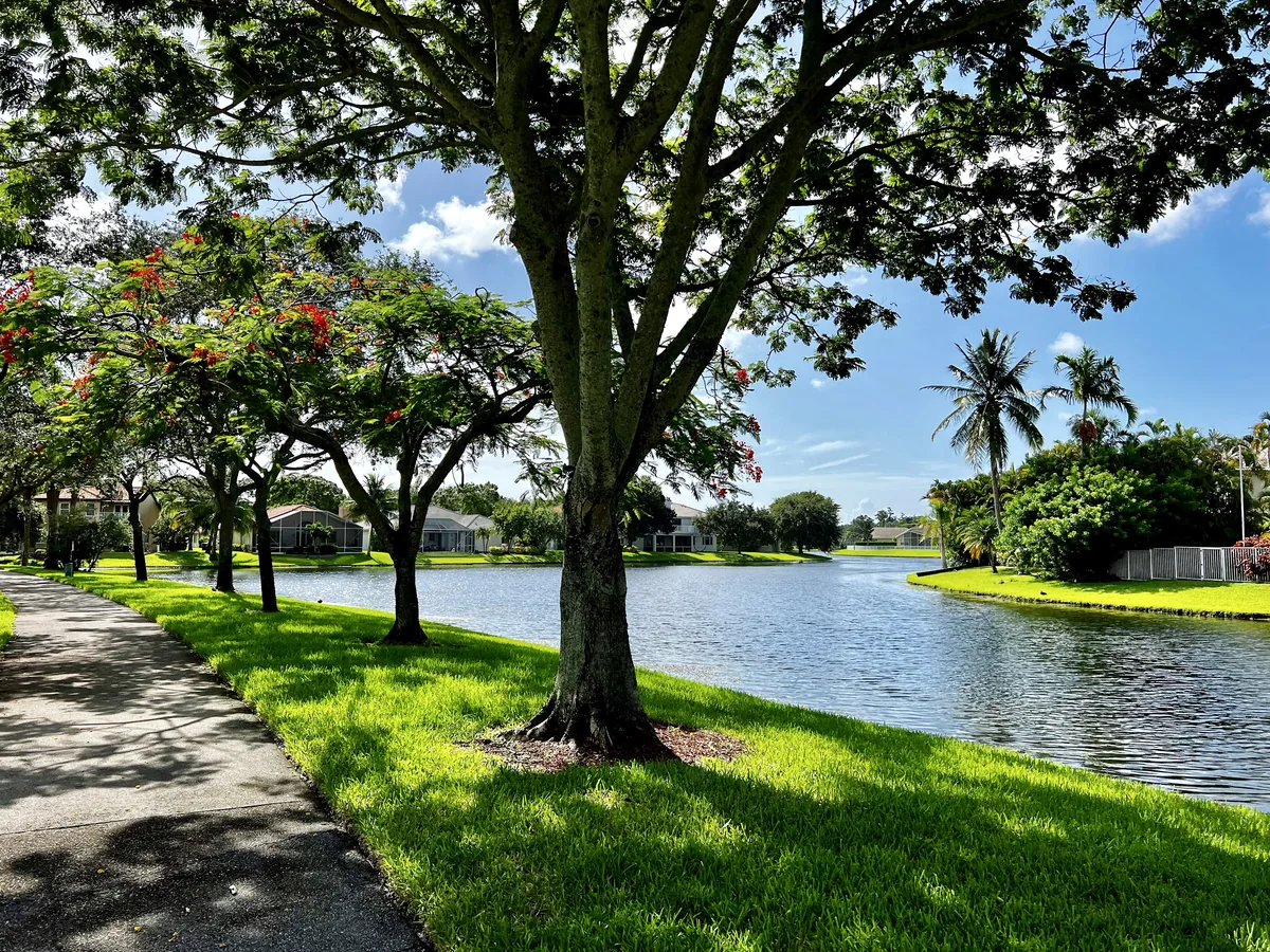 Residential street in Coconut Creek, Florida