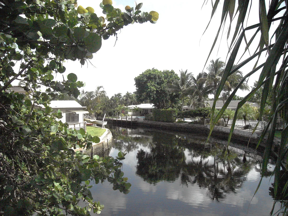 Residential street in Oakland Park, Florida